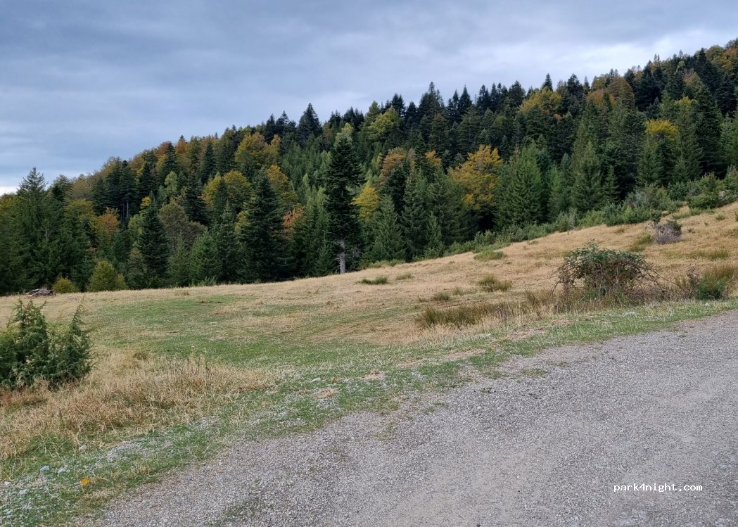 (327439) Poiana Mărului - — foto
