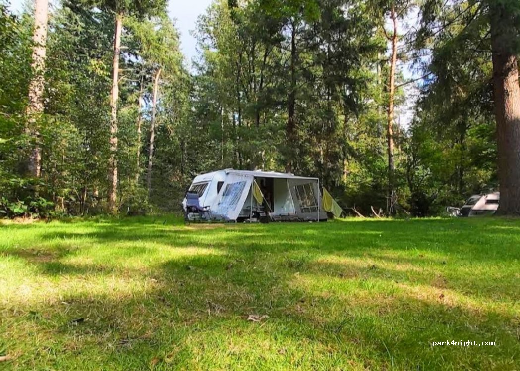 Natuurkampeerterrein De Dennen — foto 3