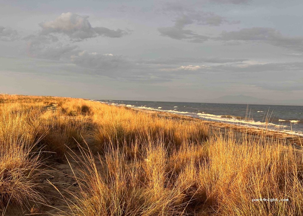 (37003) Paralia - — foto