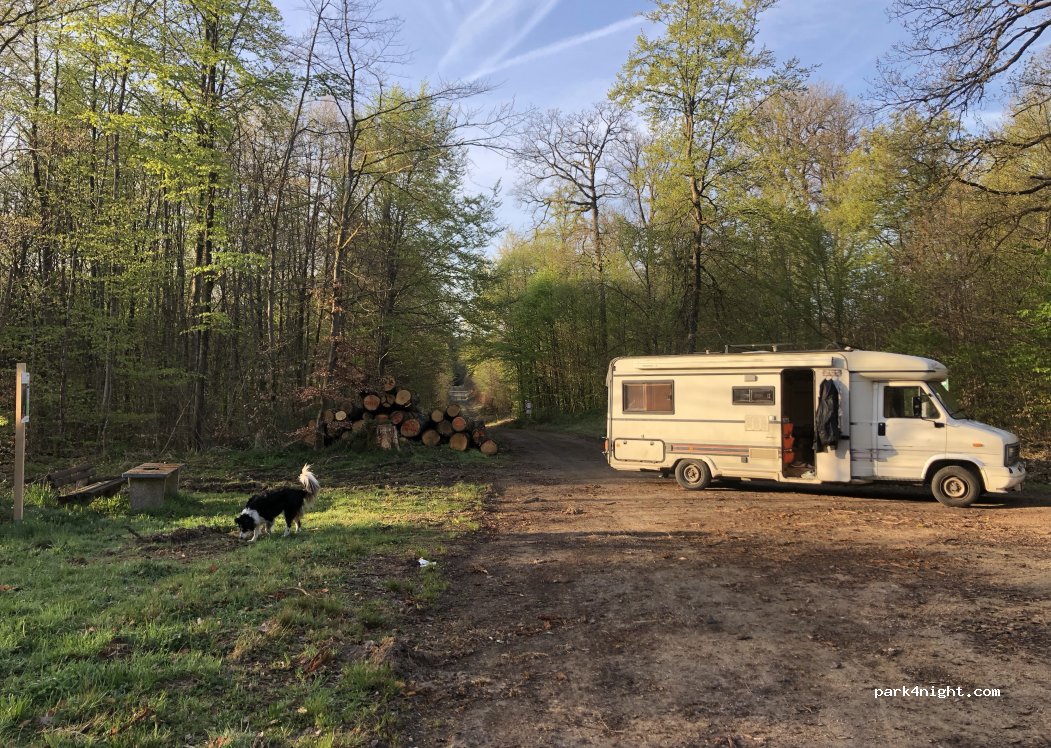 (54534) Karl - L46 — foto 4