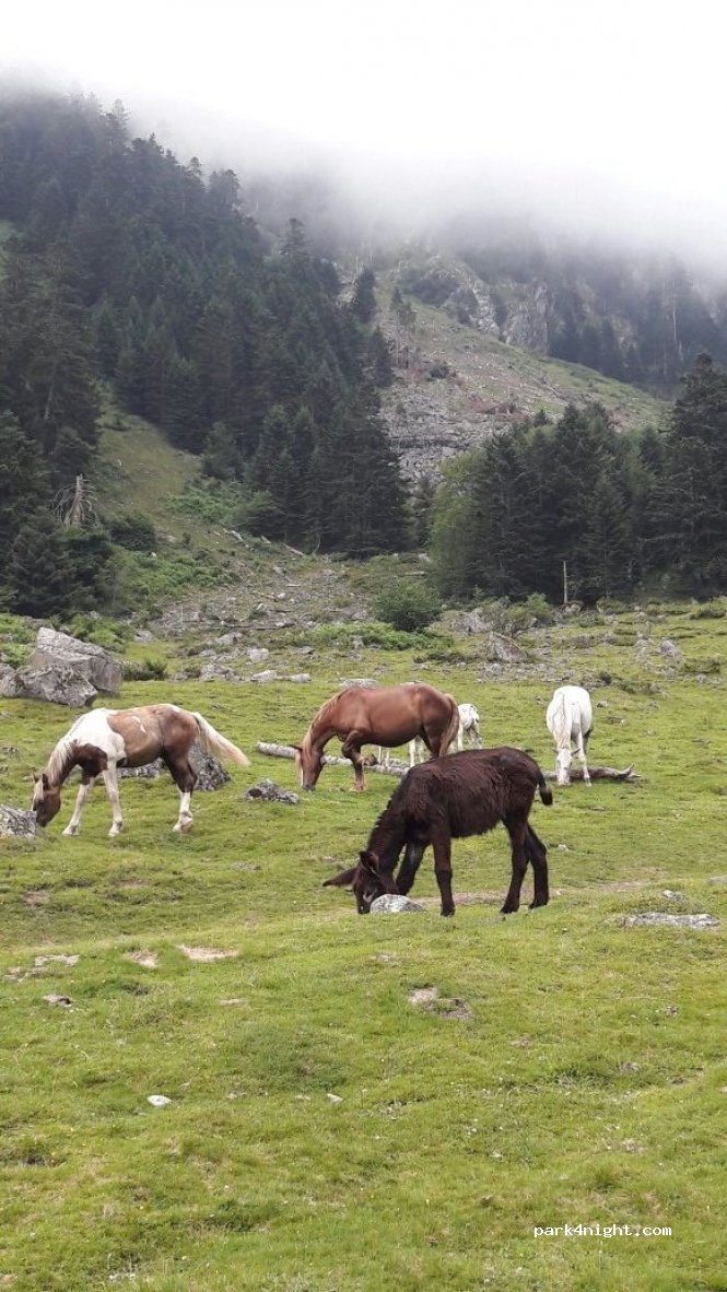 (65110) Cauterets - Unnamed Road — foto 3