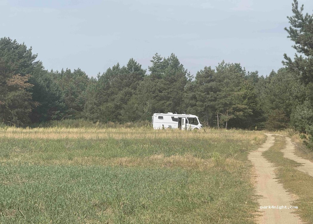 (99-400) Dąbkowice Górne - — foto