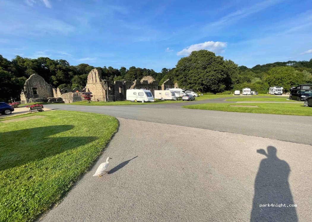 Finchale Abbey Caravan Park — foto