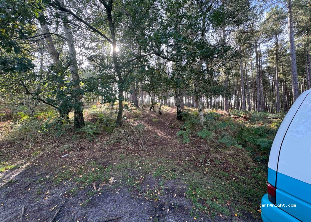 (IP17 3EF) Westleton - — foto
