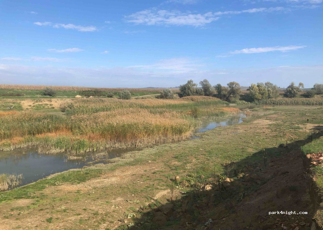(727225) Dumbrăveni - — foto 4
