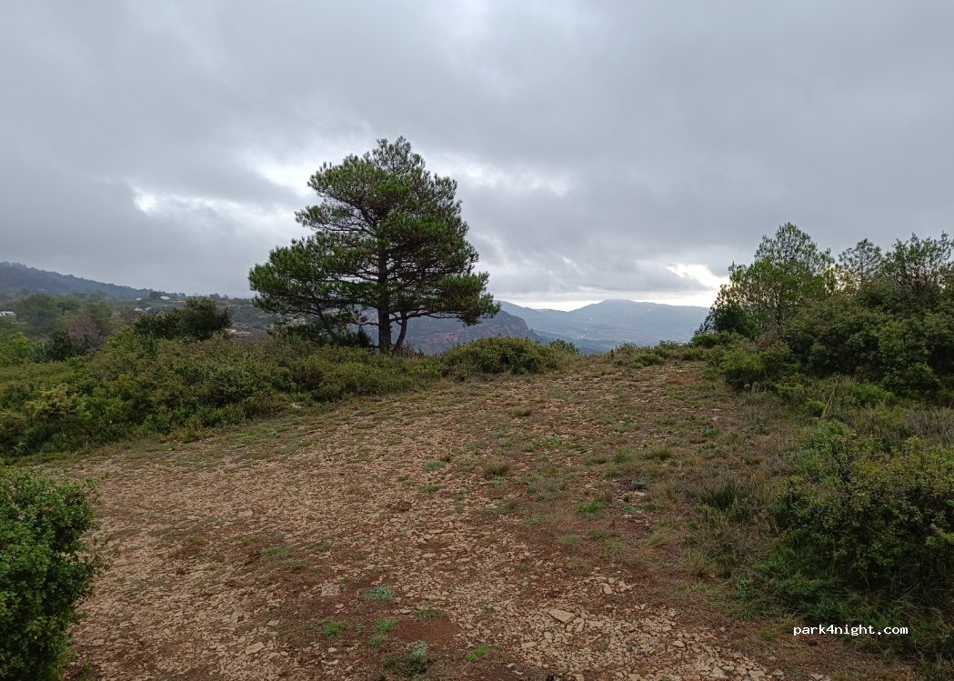 (43365) Alforja - — foto 2
