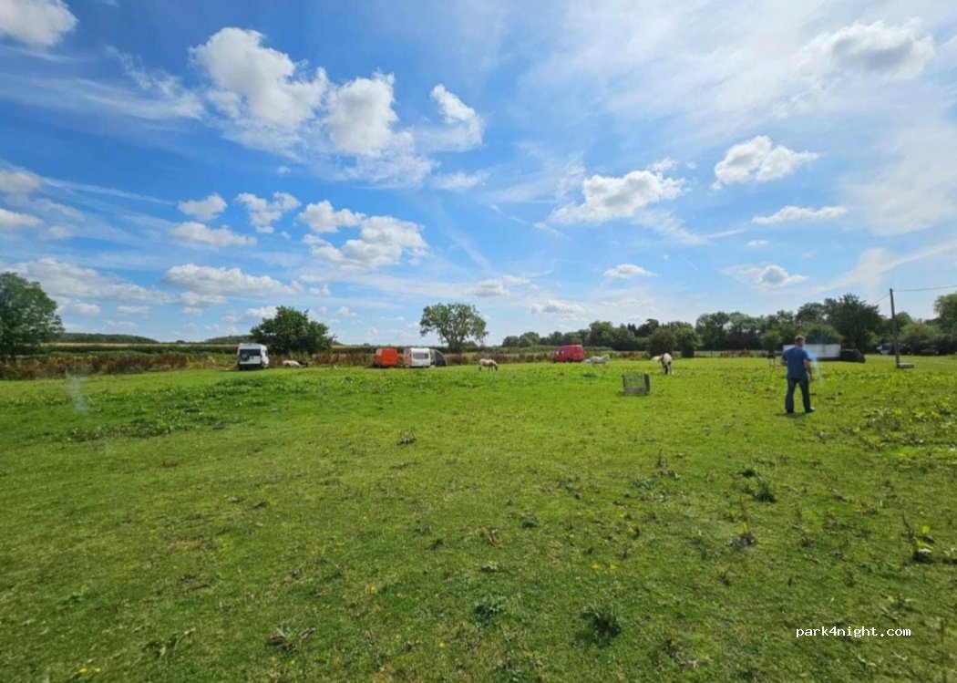 Field farm — foto