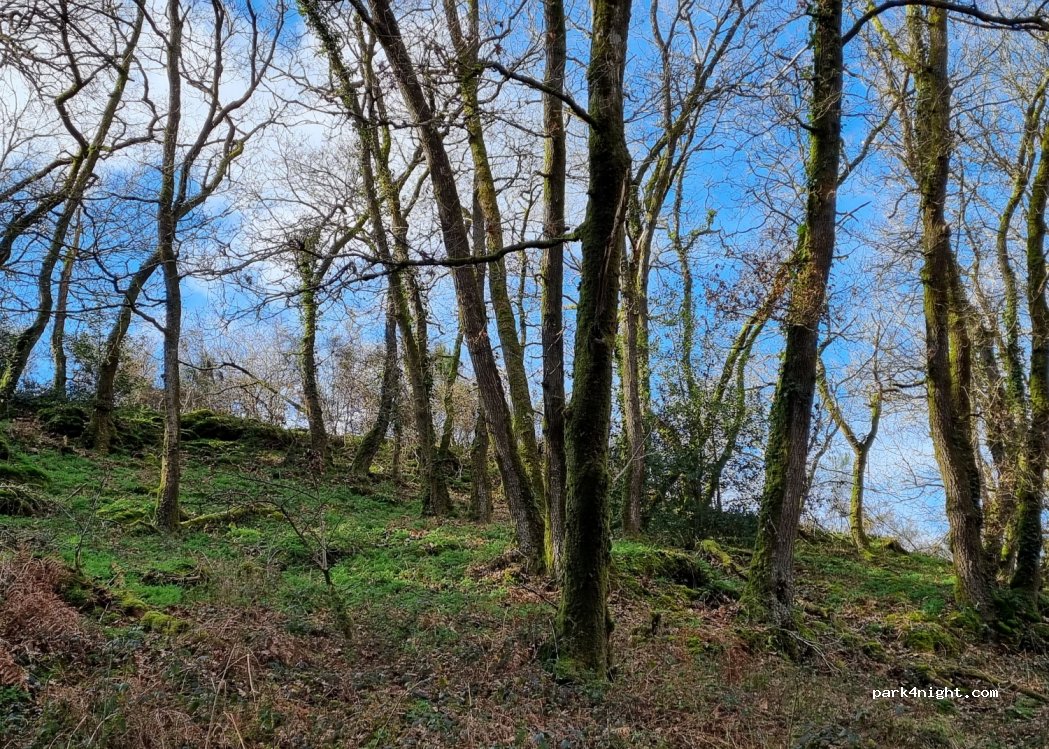 (56430) Tréhorenteuc - 3 Rue Neuve — foto 3