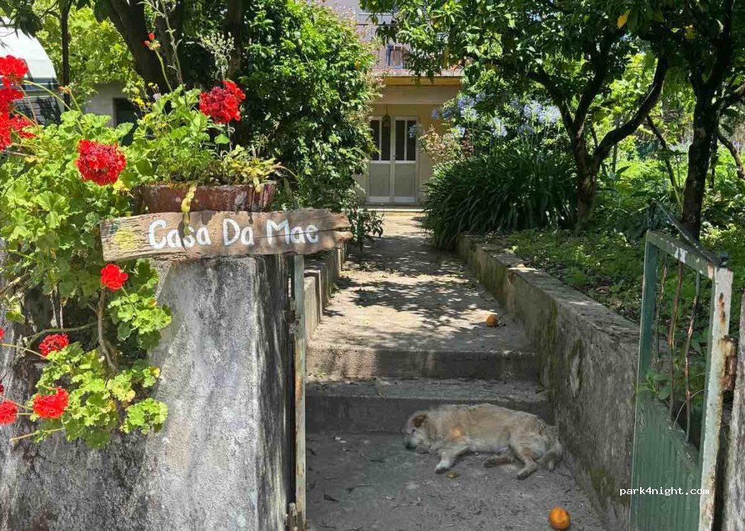 (3330) Góis - R. de Campelo 44 — foto 2