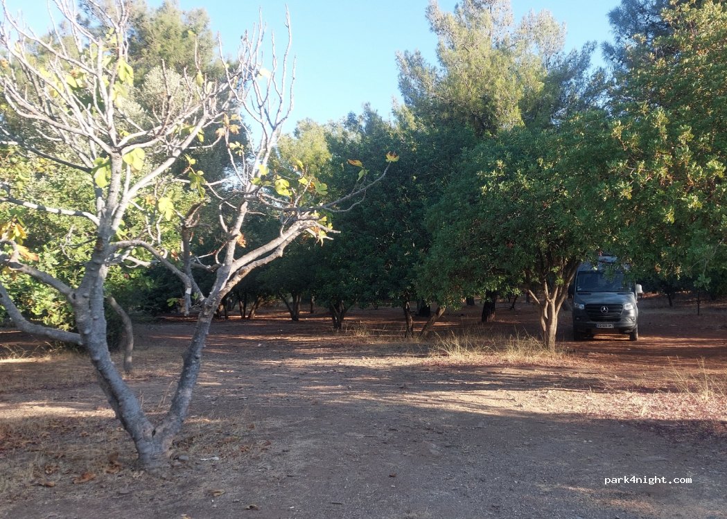 (09430) Güzelçamlı - — foto