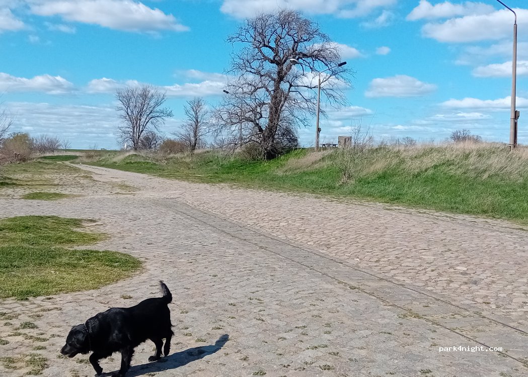 (04895) Mühlberg - — foto 3