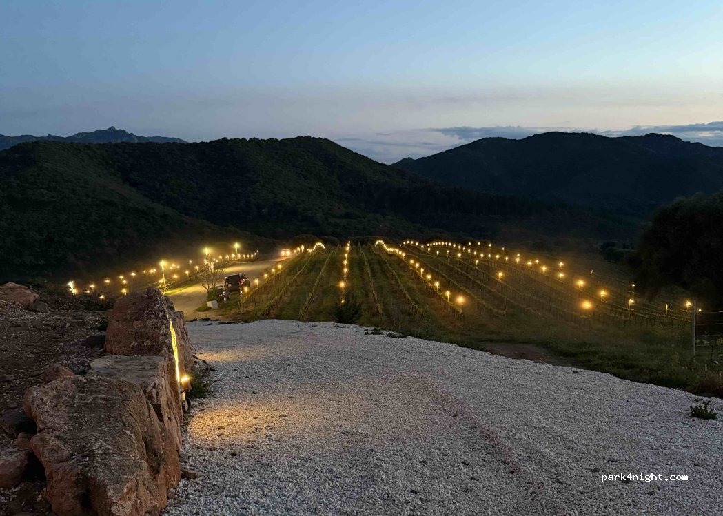 Tenuta dell' Osteria Maria — foto 3