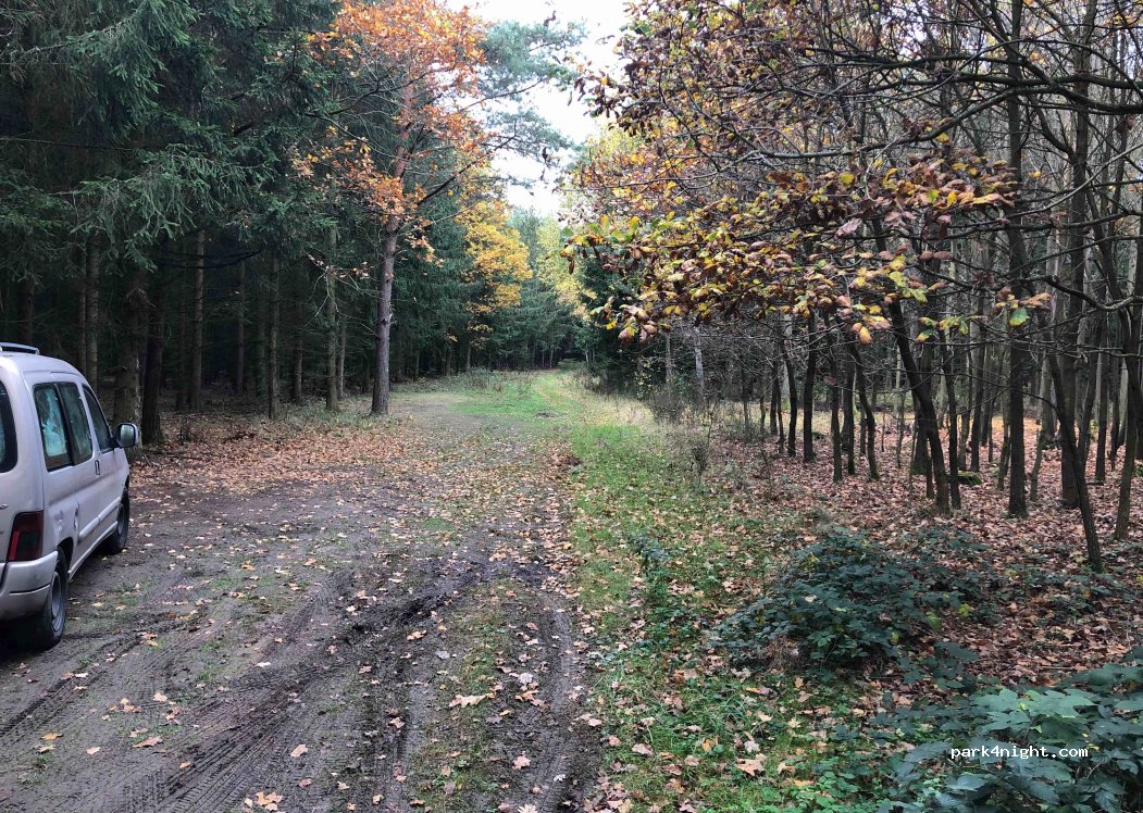 (262 25) Pičín - — foto