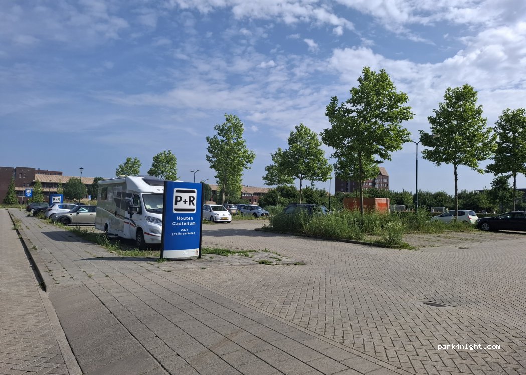 (3994) Houten - 99 Raaigras — foto