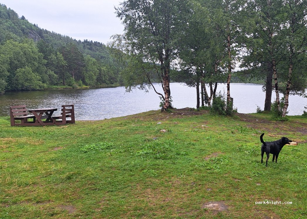 (9518)  - 291 Kåfjordveien — foto