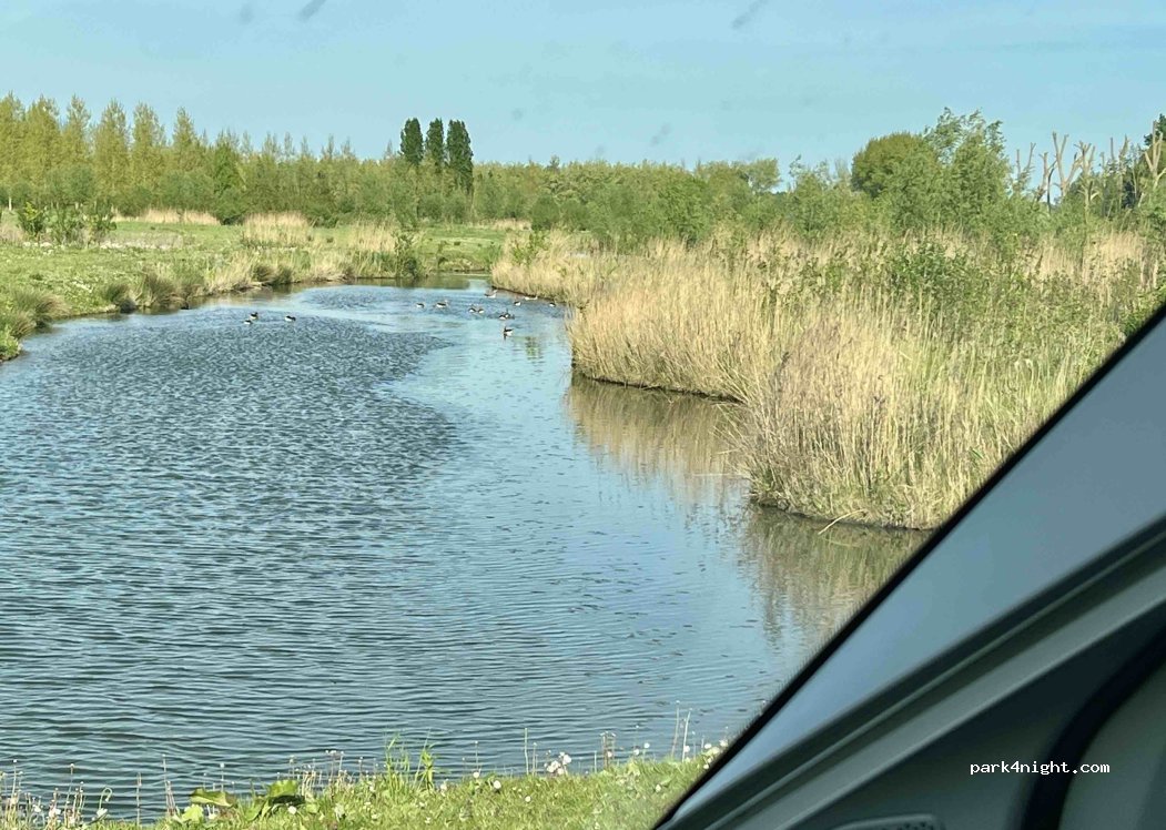 (3281 HA) Numansdorp - 37 Numansgors — foto 2