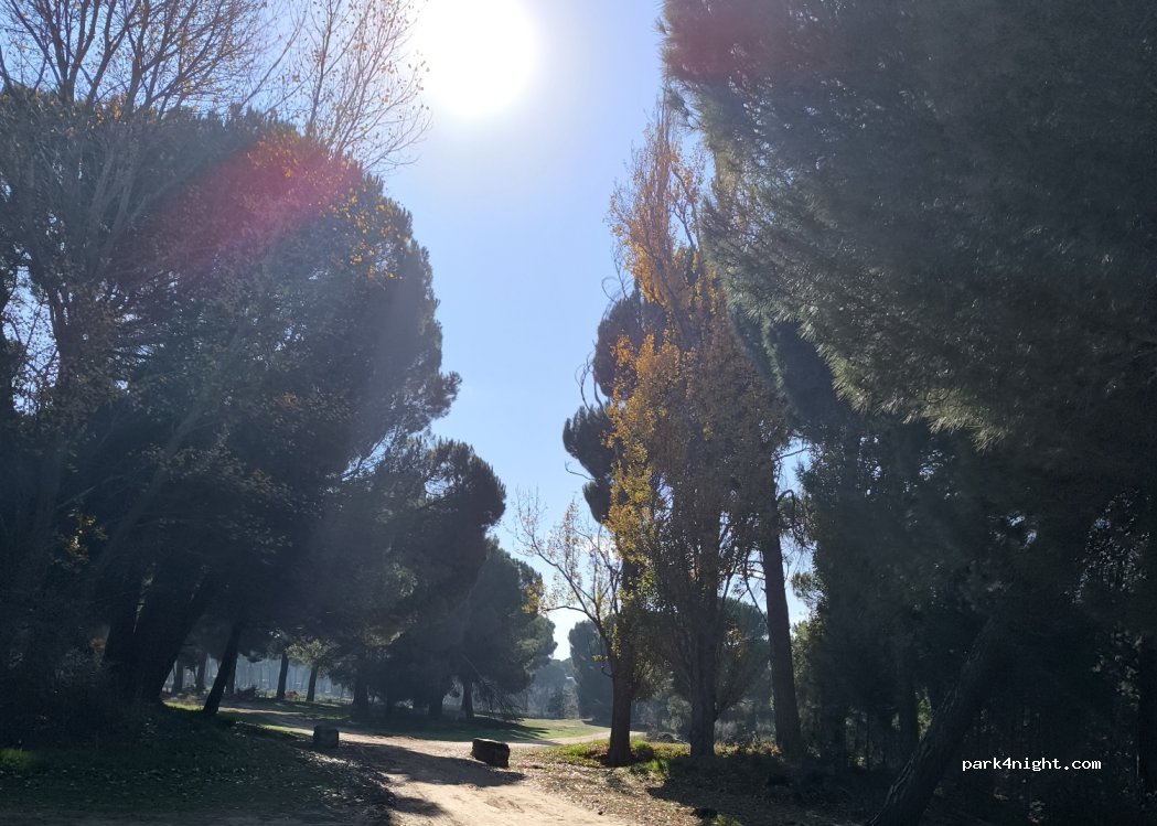 (47130) El Pichón - — foto 4