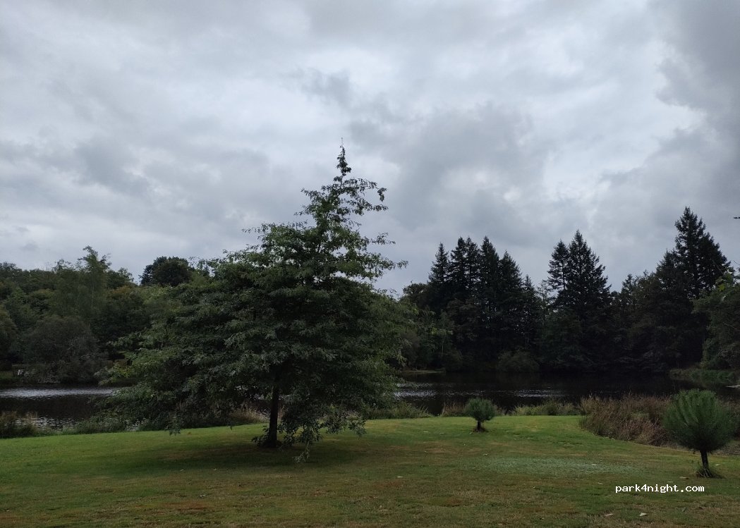 (87520) Cieux - Bellevue — foto 2