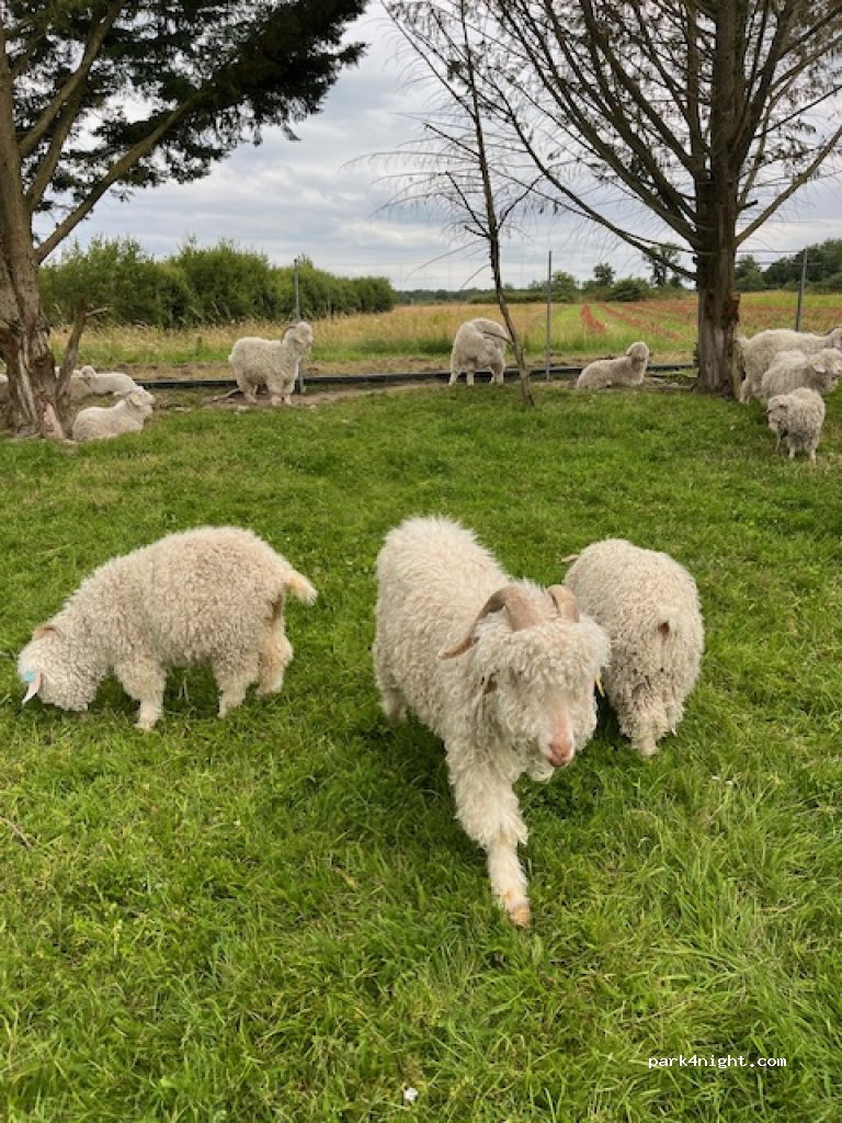 La Ferme de la Maugerie — foto