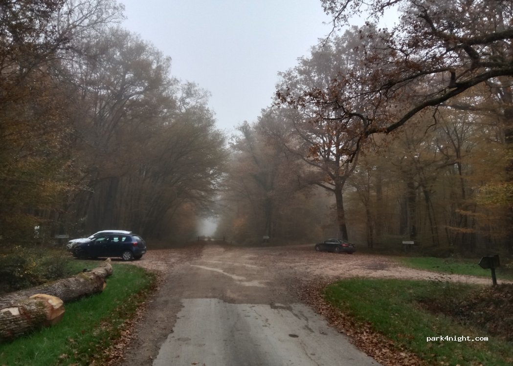 (45450) Sully-la-Chapelle - Route de Traînou à Chambon-la-Forêt — foto