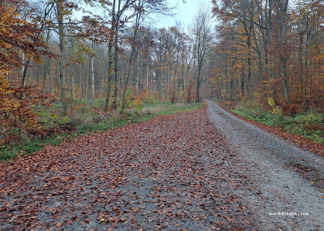 (97270) Guttenberger Wald - — foto