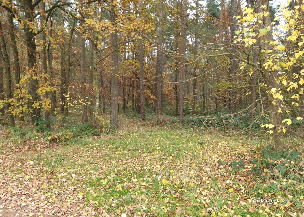 (92546) Schmidgaden - — foto 2