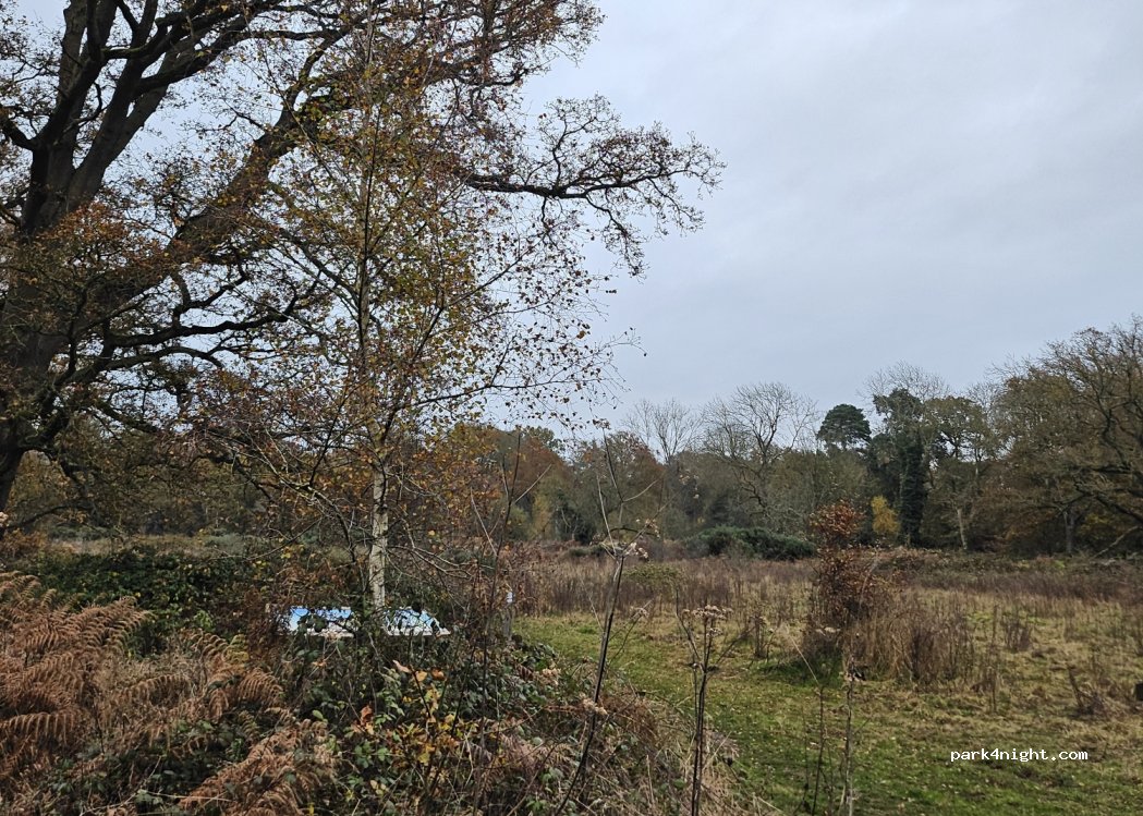 (NR20) Dereham - — foto