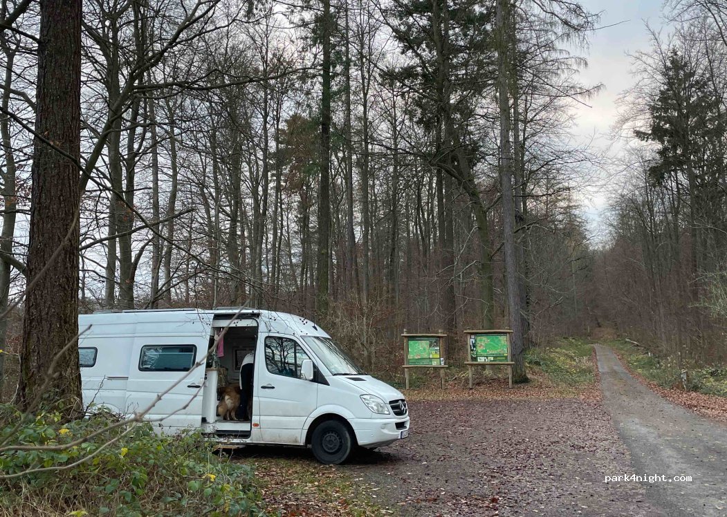 (34298) Kaufunger Wald - — foto 2