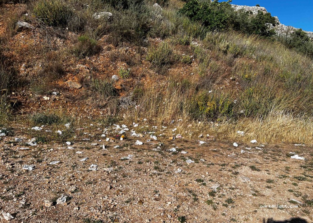 (252 00) Larisos - — foto