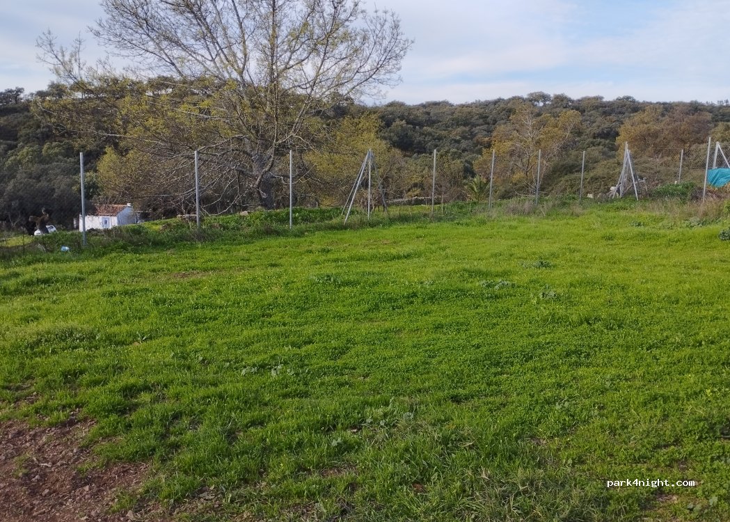(21220) Higuera de la Sierra - — foto