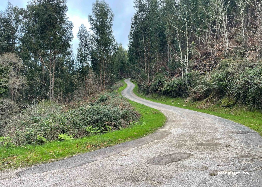 (8550) Monchique - Unnamed Road — foto 2