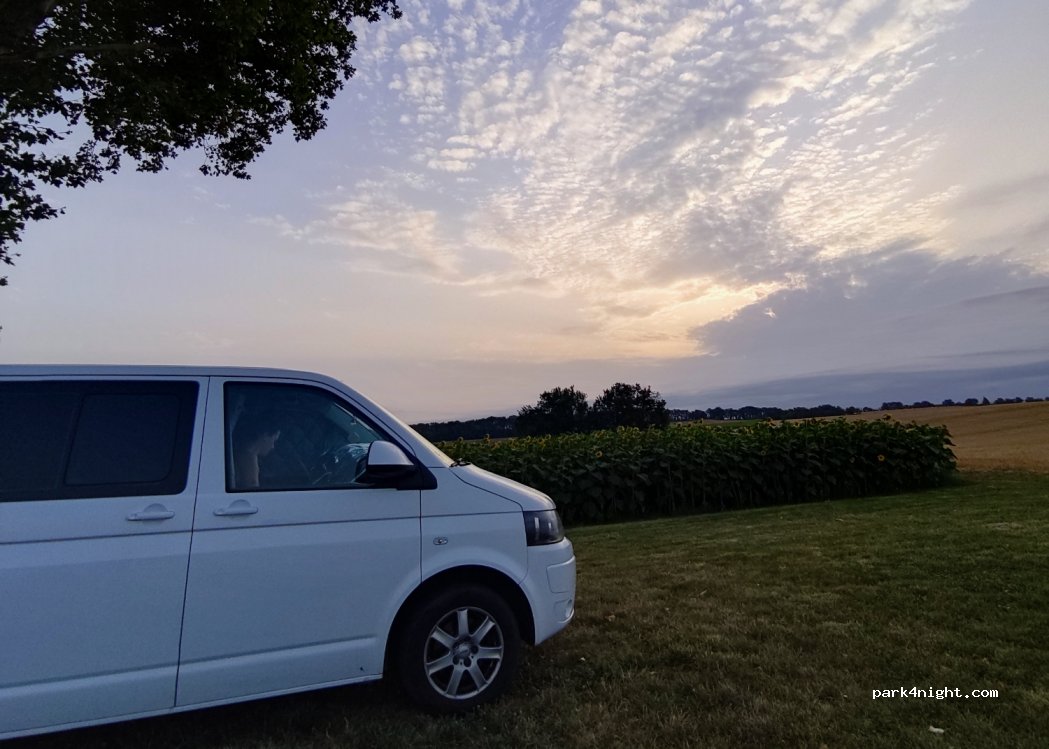 (81440) Lautrec - Francoumas — foto 3