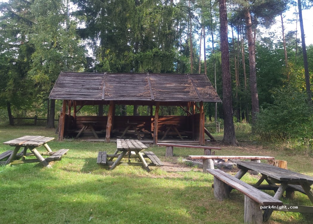 (48) Radynia - Unnamed road — foto 3