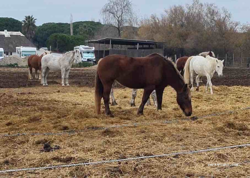 Abrivado Ranch — foto 4