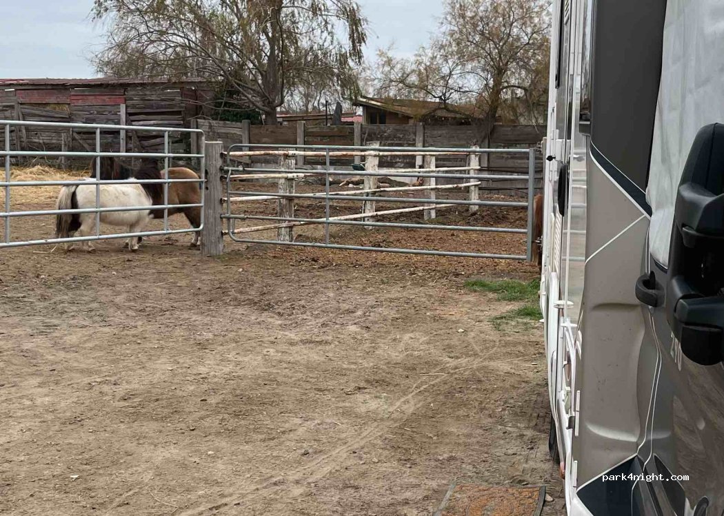 Abrivado Ranch — foto 5
