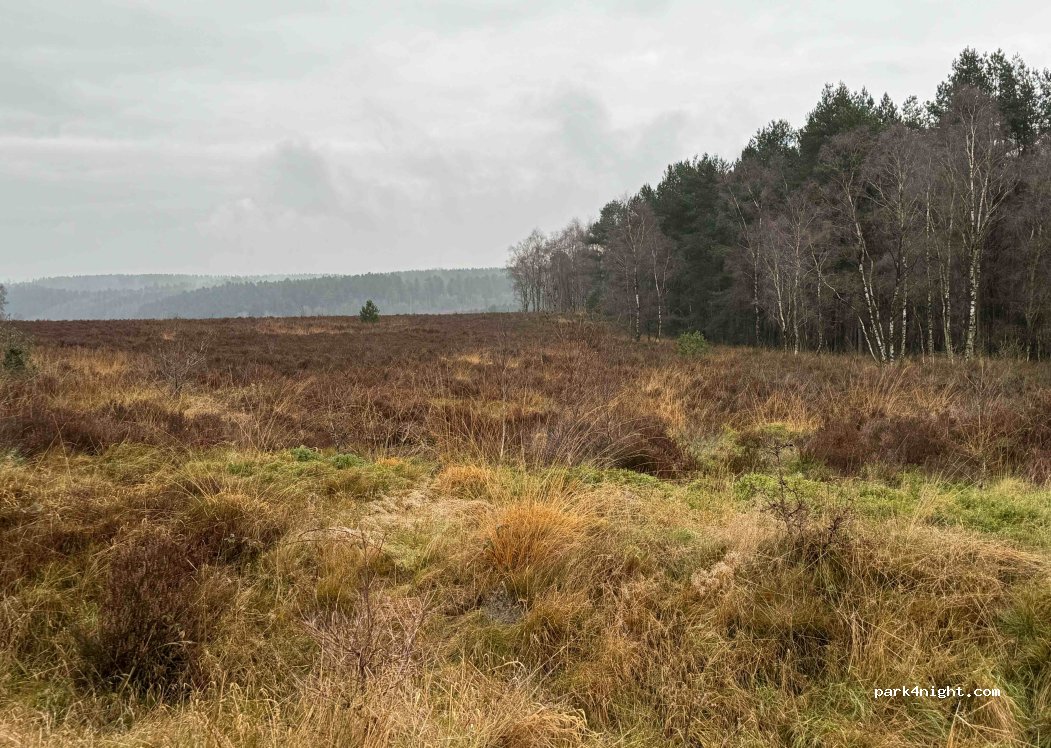 (WS12 4PT) Cannock - — foto