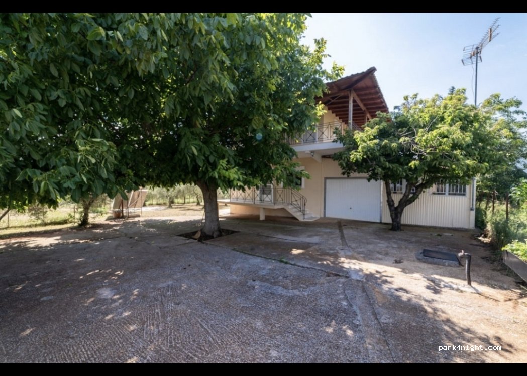 Granatapfelplantage — foto 2
