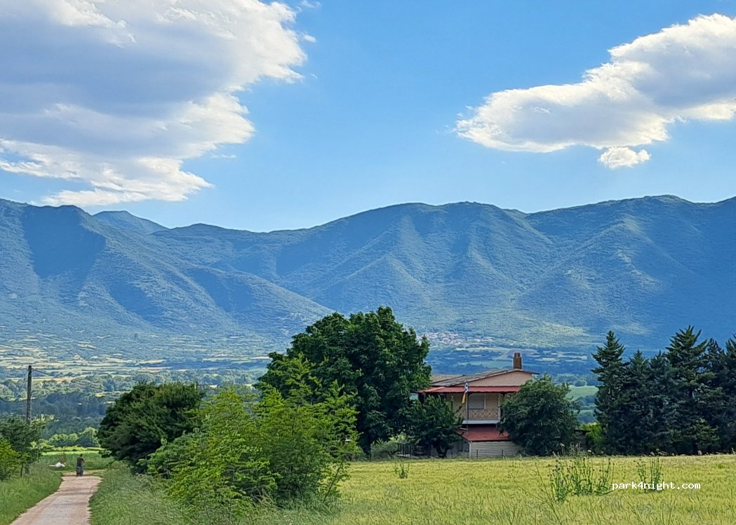 Granatapfelplantage — foto 5