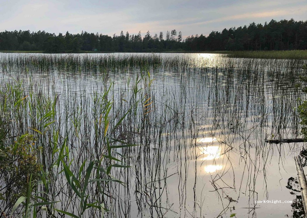 (567 91) - 8 FÄGRIDA — foto 3