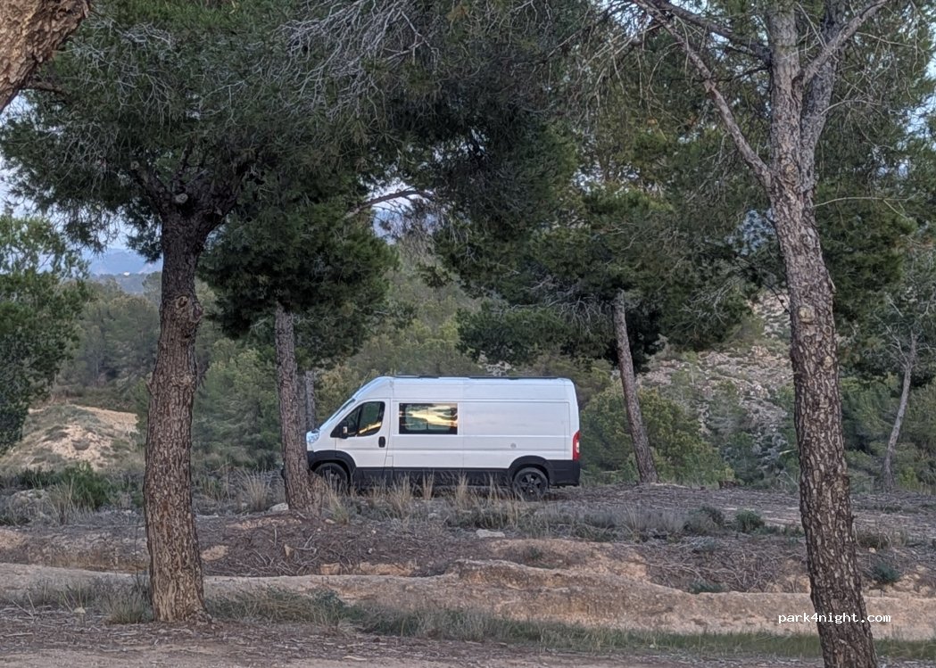 (30155) El Palmar - — foto 5