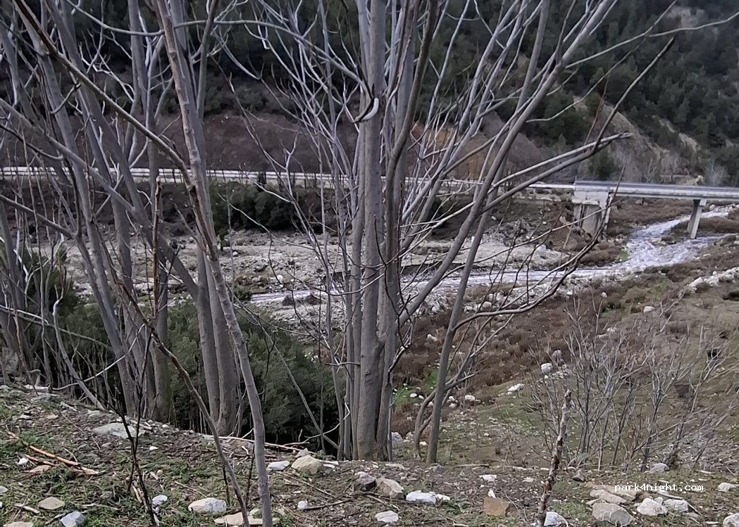 (32000) Absarı - — foto 3