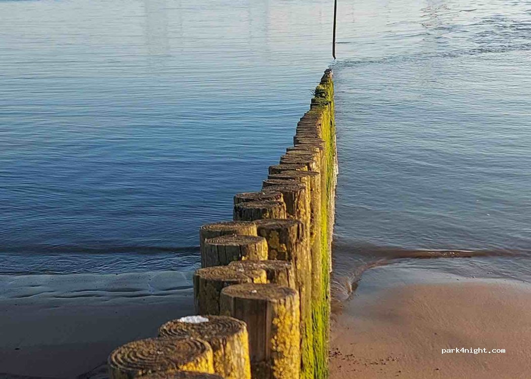 Weserhenne Sandstedt vor dem Deich — foto