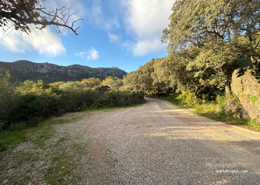 (29690) Casares - — foto 3