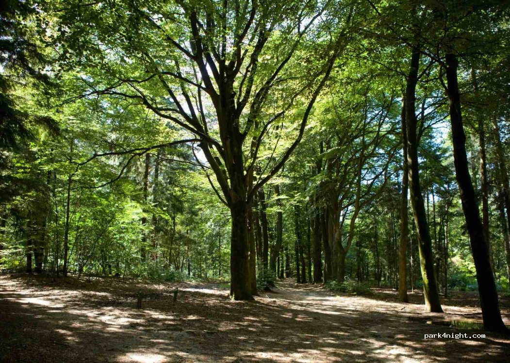 Aan Veluwe — foto 3