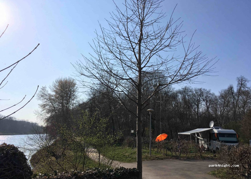 Donau Camping — foto 3