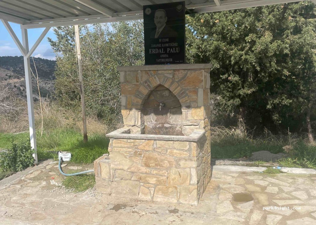 Arıdamı - — foto
