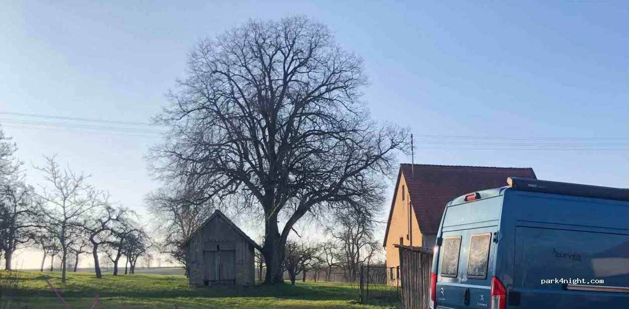 (74744) Ahorn - 2 Obereubigheim — foto