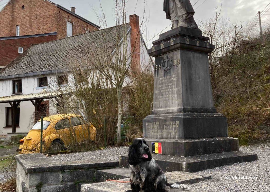 (5580) Rochefort - 6 Rue des Ardennes — foto