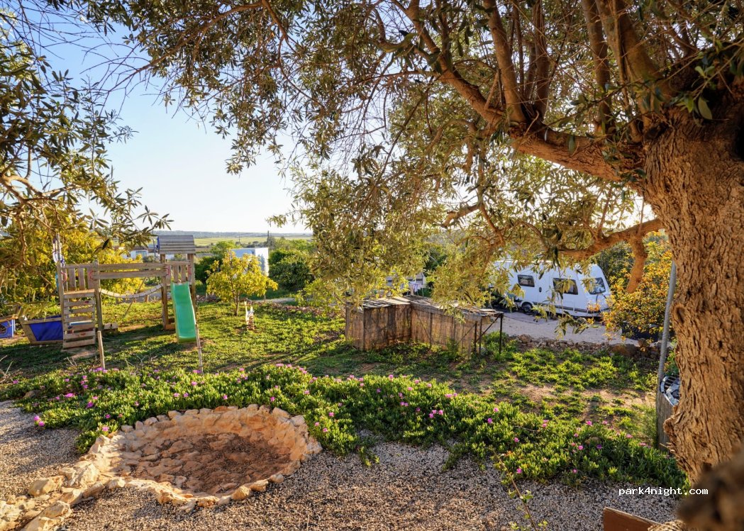 (8300) Silves - — foto