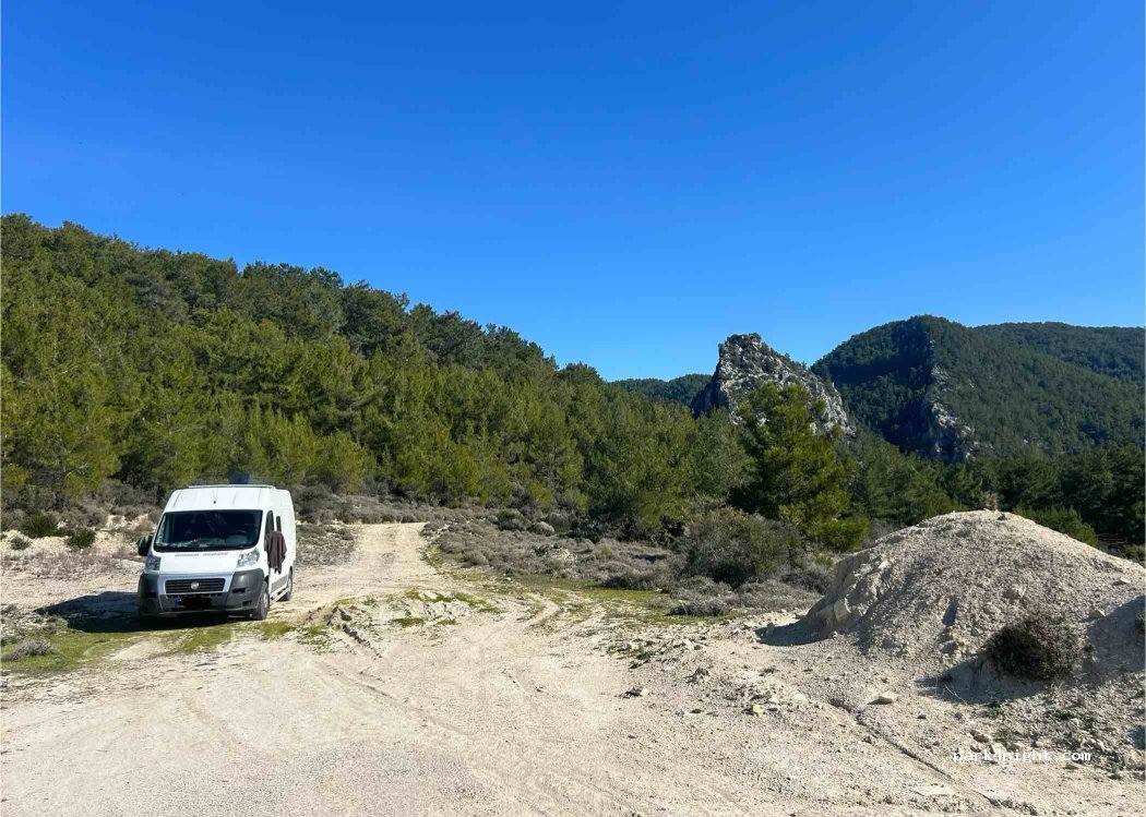 (07400) Çakallar - — foto